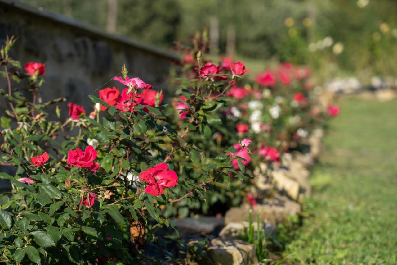 Agriturismo Montelovesco Brunetta Eksteriør bilde